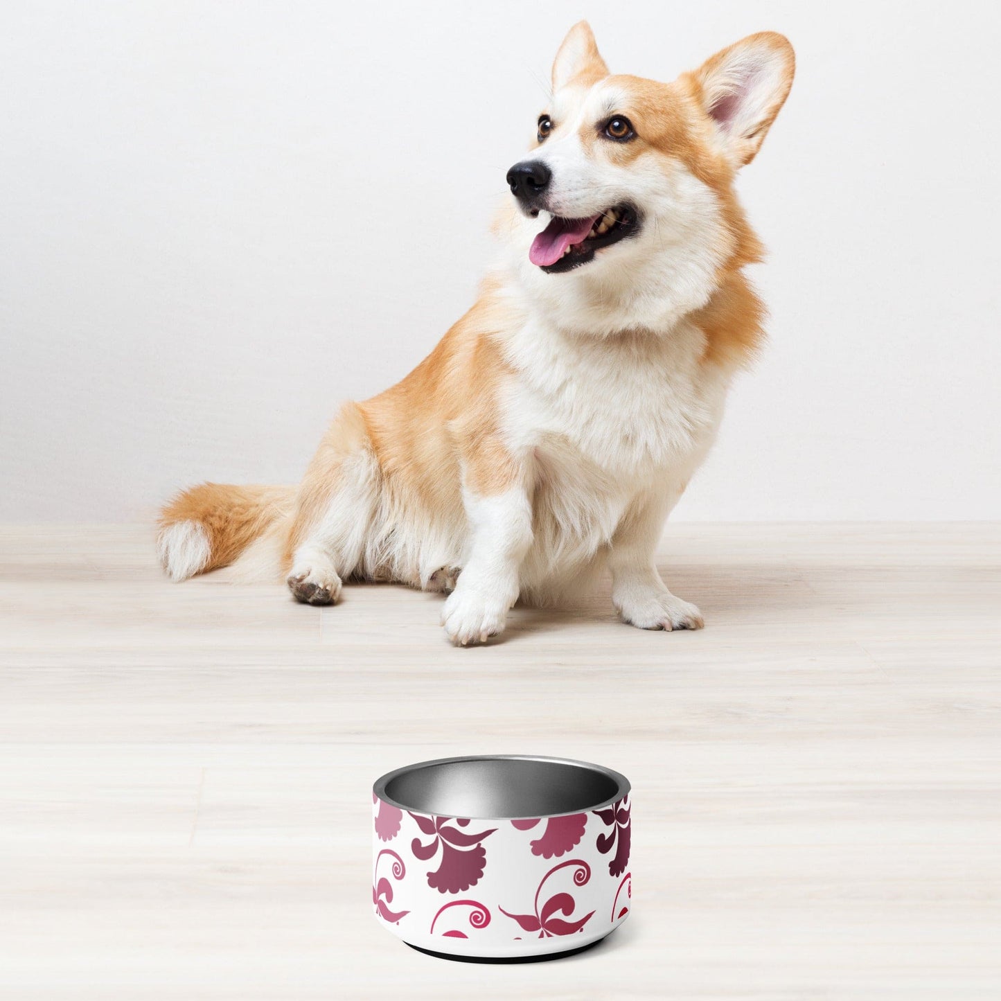 Pet bowl |  Perfect Bowls for Pets of All Sizes