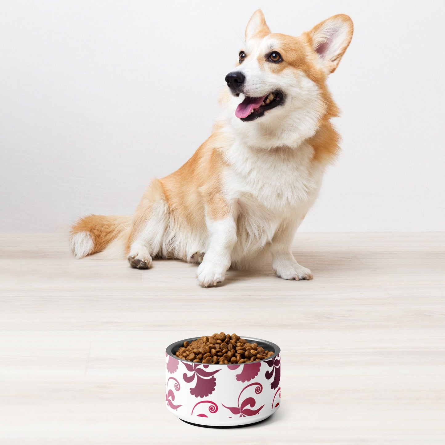 Pet bowl |  Perfect Bowls for Pets of All Sizes