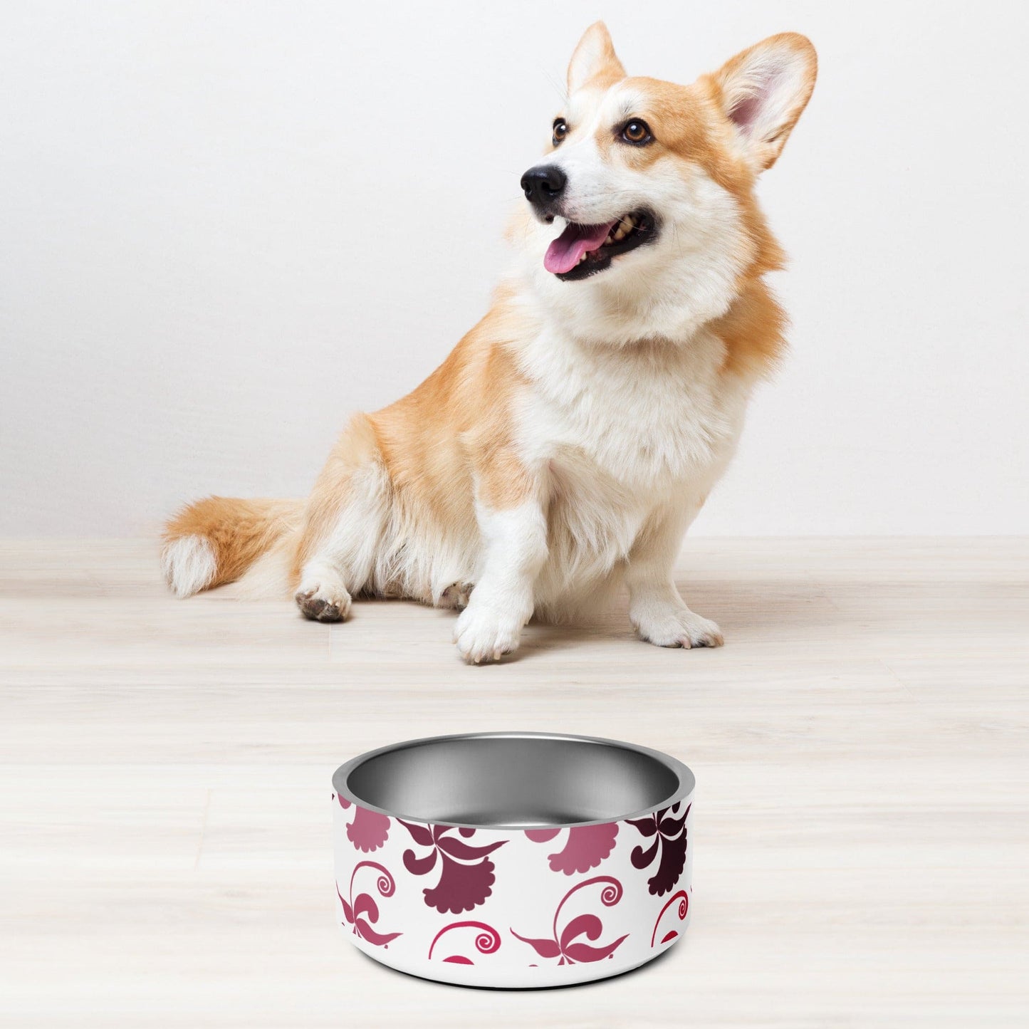 Pet bowl |  Perfect Bowls for Pets of All Sizes