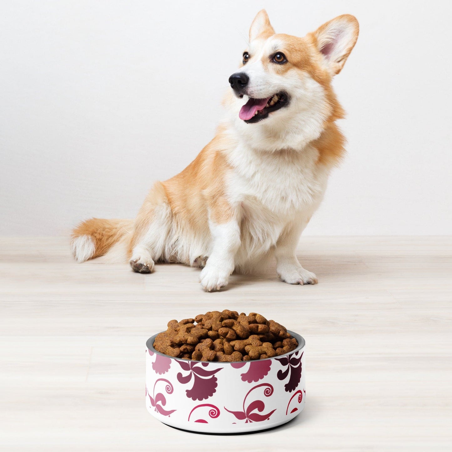 Pet bowl |  Perfect Bowls for Pets of All Sizes